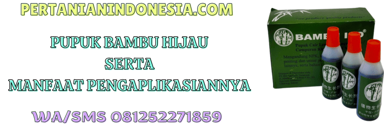 pupuk,bambu hijau,bio agritech,bambu ijo,pertanian indonesia